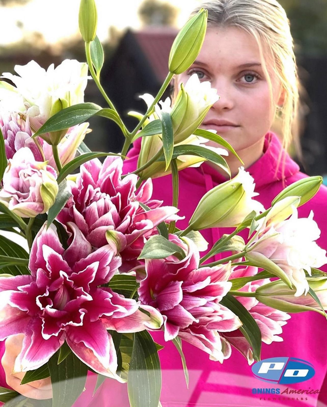 Lilies: Oriental and OxT Lily bulbs (ship week 26-2025)