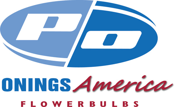 Shop Onings America