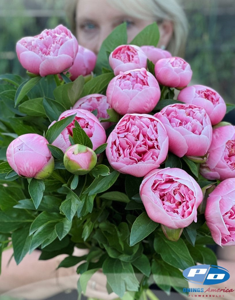Peony: 20 Etched Salmon 5/8 eyes