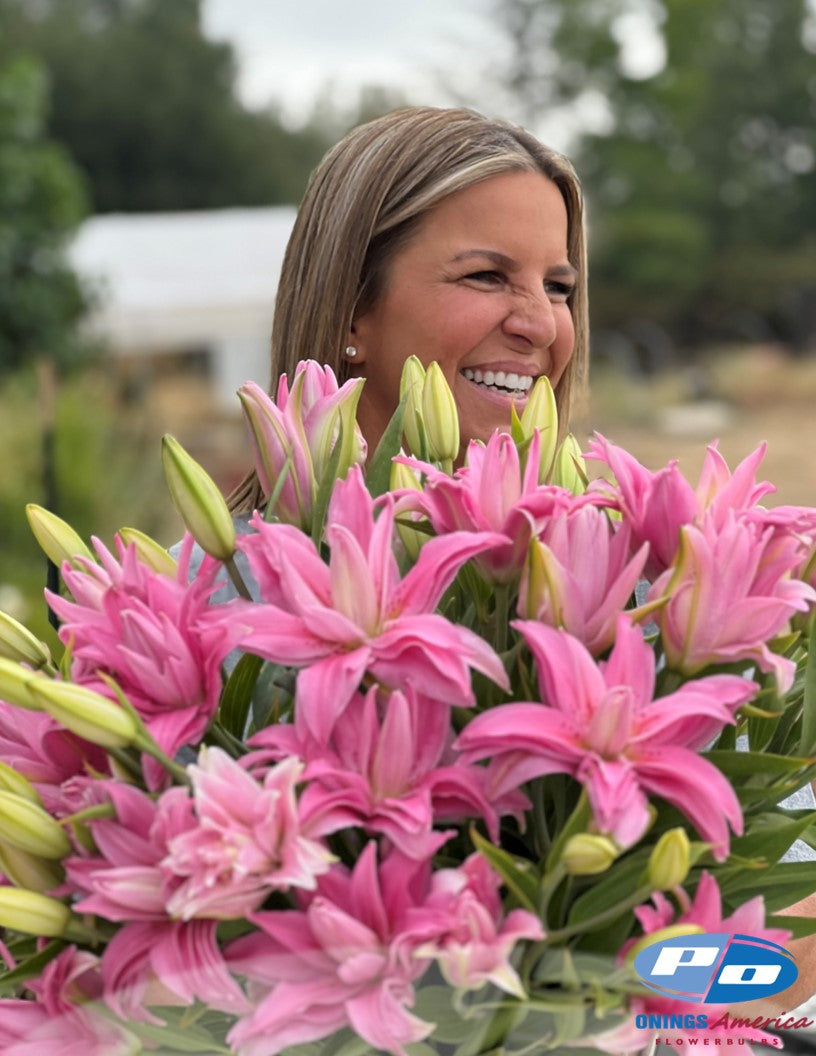 Lilies: Oriental and OxT Lily bulbs (ship week 26-2025)