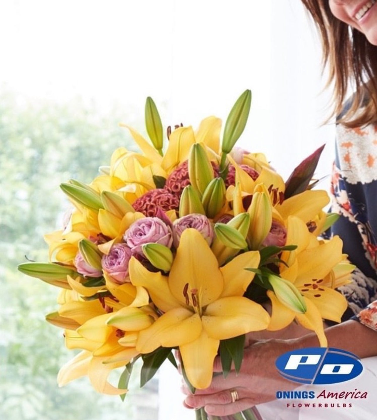 Lilies : American Classic LxA Hybrid lily Mix (ship week 02-2025)