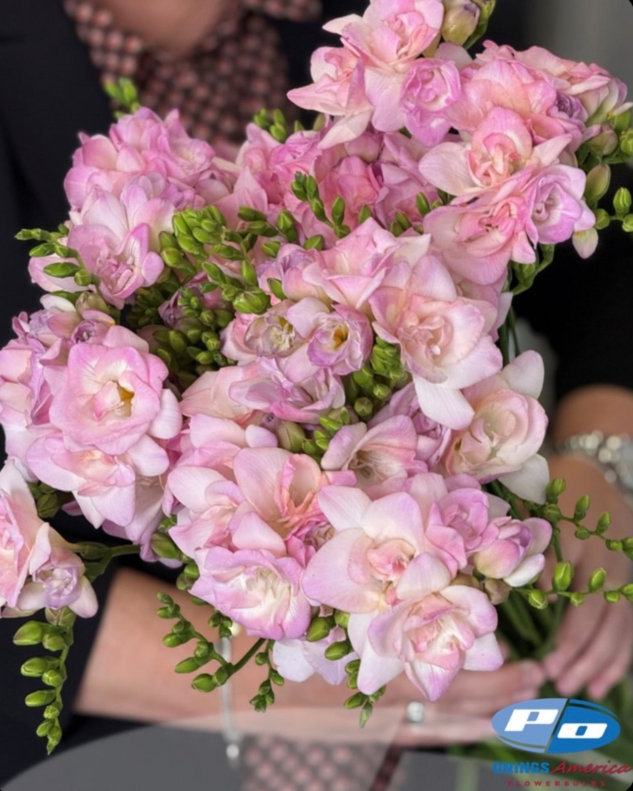 Fabulous Freesia (ship week 8)