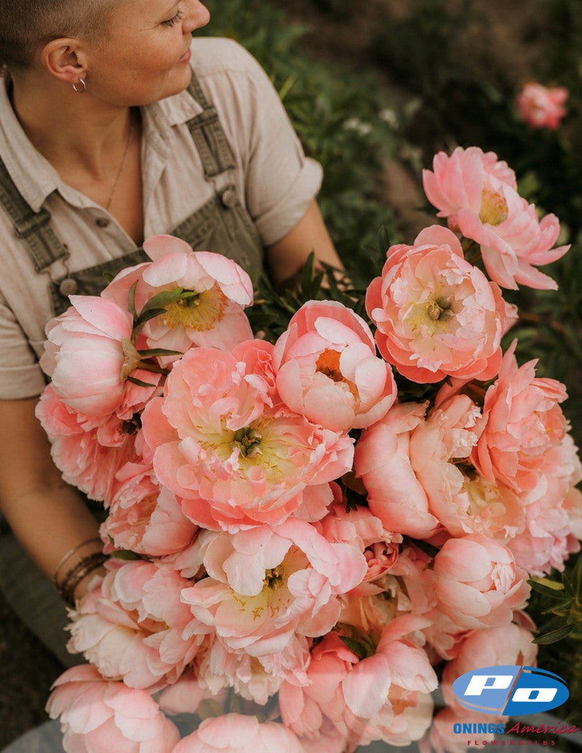 Peony: 20 Pink Hawaiian Coral 5/8 eyes