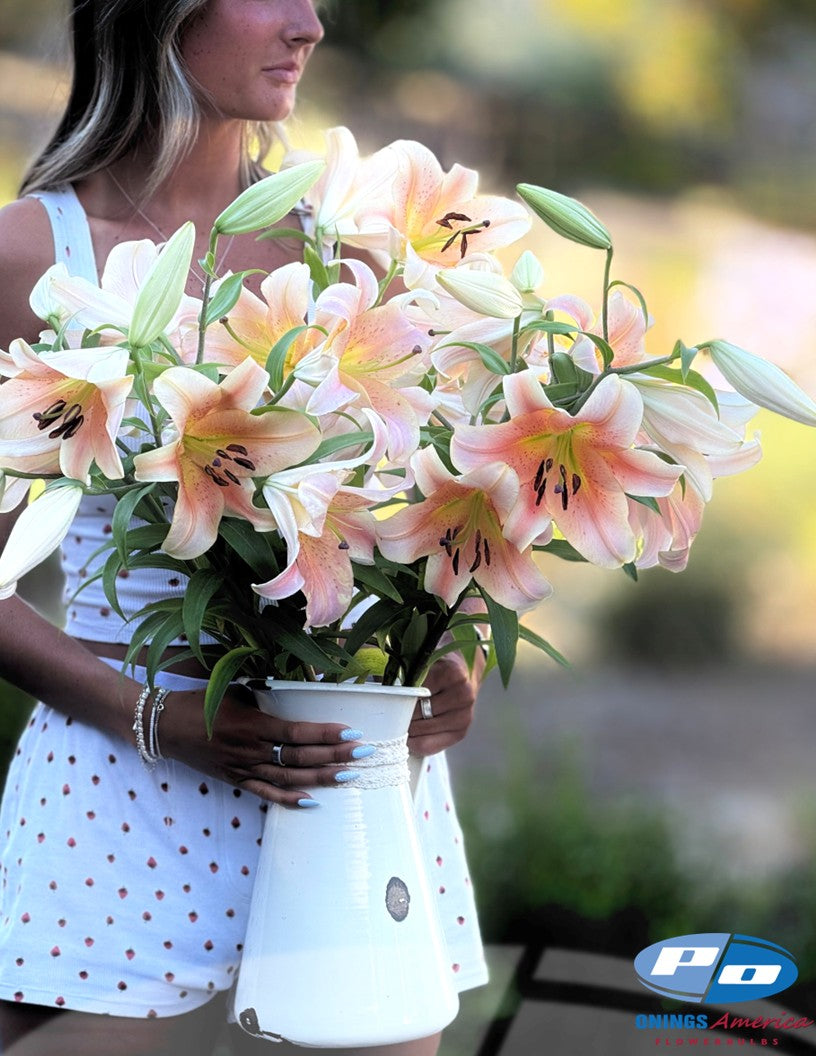 Lilies: Oriental and OxT Lily bulbs (ship week 21 2026)