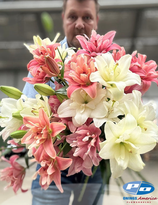 Lilies : Butterfly beauties (ship week 4-2026)