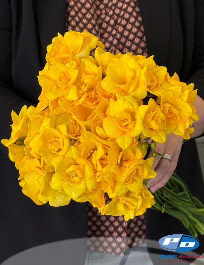 Fabulous Freesia (ship week 44)