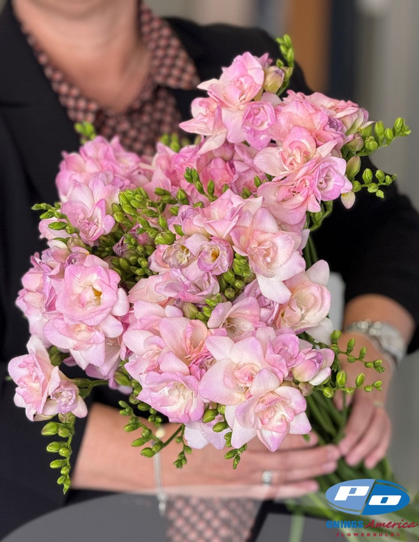 Fabulous Freesia (ship week 44)