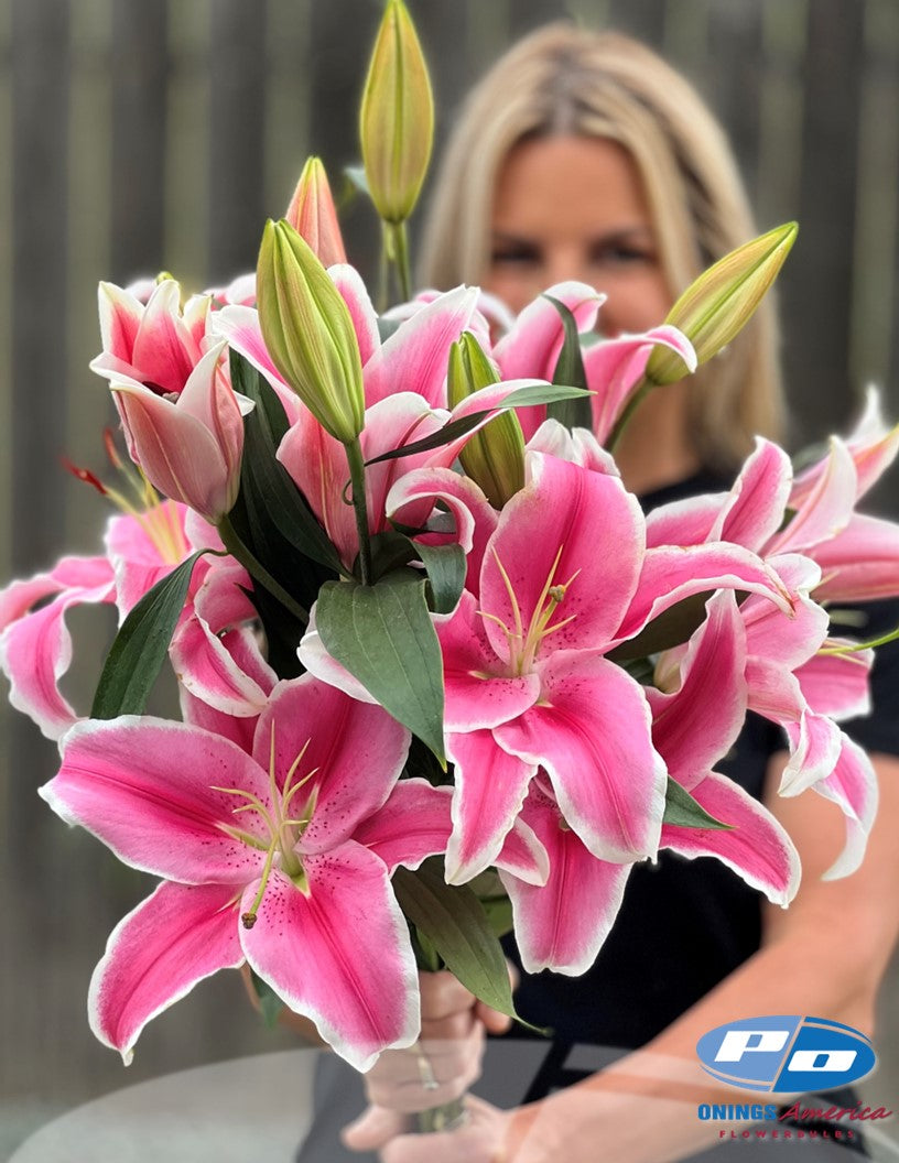 Lilies : Southern Hemisphere Oriental and OxT Lily bulbs (Mothers Day0 (ship week 2 shipping)