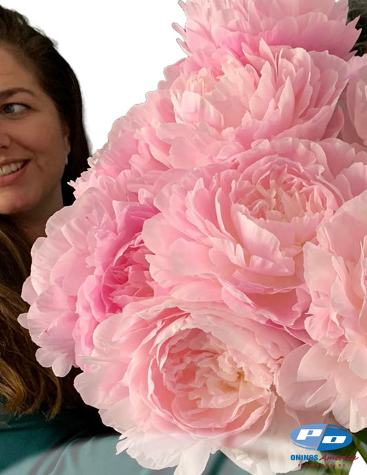 Peony: 20 Nancy Nora 5/8 eyes