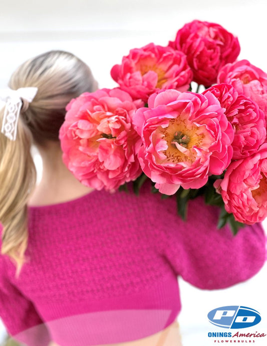 Peony: 20 Coral Charm 5/8 eyes